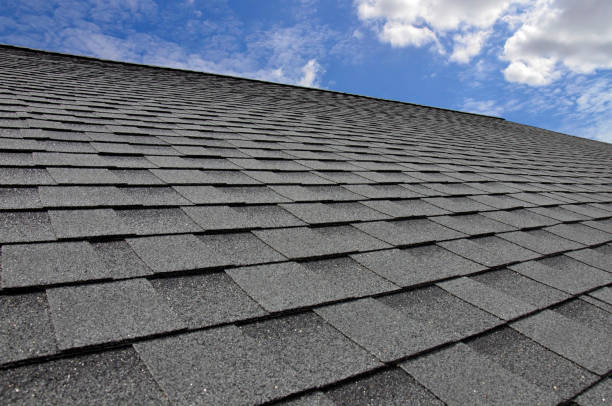 Best Metal Roofing Installation  in Hotchkiss, CO